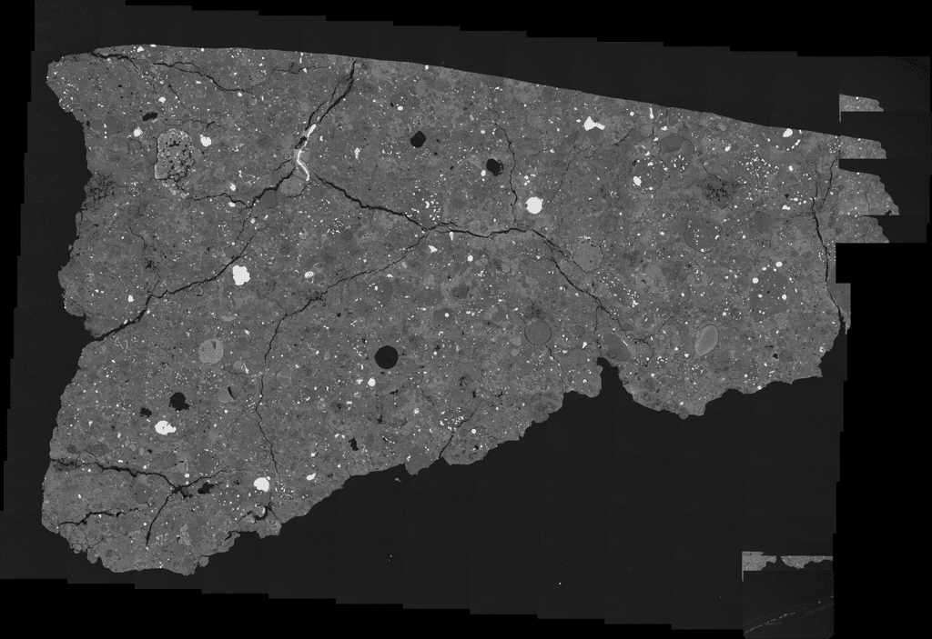 Il s'agit d'une image d'une section mince polie d'Asuka 12236, réalisée avec un microscope électronique à balayage. La section mesure environ un centimètre de diamètre. La plupart des grains brillants de l'image sont du fer-nickel-métal ou du fer-sulfure. Le gris est principalement constitué de silicate, les zones grises plus foncées étant plus riches en magnésium, tandis que les zones grises plus claires sont plus riches en fer. Les objets arrondis, et certains fragments d'entre eux, qui ont tendance à contenir la plupart des petits grains métalliques brillants sont appelés « chondrules », qui se sont formés sous forme de gouttelettes fondues. Ils sont dans une matrice à grains très fins où se trouvent des composés organiques et des grains présolaires. © <em>Carnegie Institution for Science</em>, Conel M. O'D. Alexander