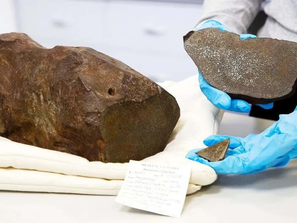 Cet homme pensait n'avoir trouvé qu'une simple pierre, il a trouvé un témoin de la formation de l'univers avec cette météorite qui garde les traces de son entrée dans l'atmosphère terrestre. © Musée du Victoria 