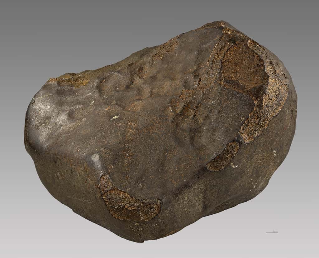 La météorite de Saint-Sauveur est une chondrite de 14 kg tombée le 10 juillet 1914 dans un champ près du village du même nom, en Haute-Garonne. Elle présente une croûte de fusion devenue brune par oxydation et quelques creux dits de « regmaglyptes ». © Didier Descouens, <em>Wikimedia Commons</em>, CC by-sa 4.0