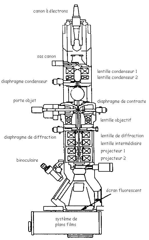 Schéma d'un microscope électronique en transmission. © Steff, <em>Wikimedias Commons</em>, CC by-sa 3.0