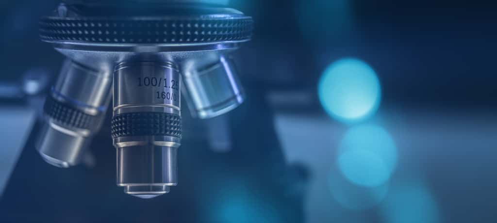 La formation d'un complexe entre le récepteur au glutamate et le récepteur à la dopamine a pu être observée au microscope. © Adobe Stock, freedarts