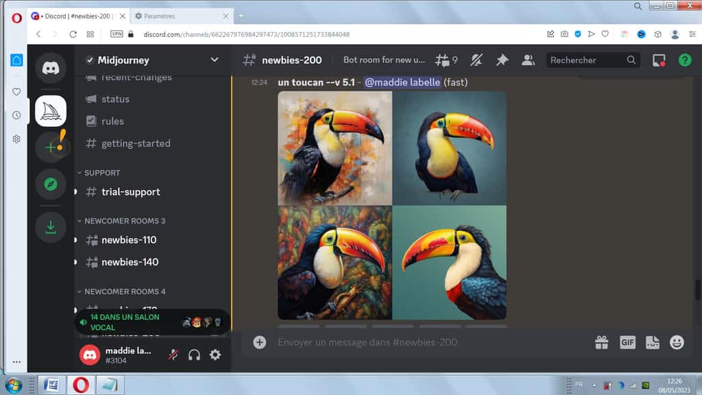 En réponse à la requête /imagine suivie d'un toucan, MidJourney a produit 4 images. © Midjourney