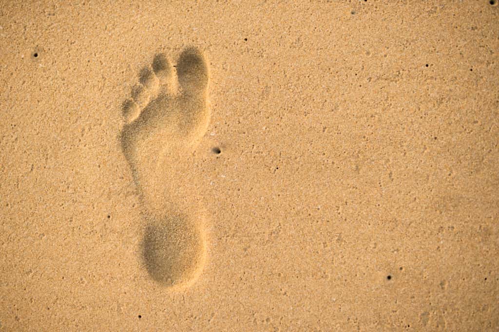 Des empreintes humaines refont surface 115 000 ans plus tard. © Travel Wild, iStock
