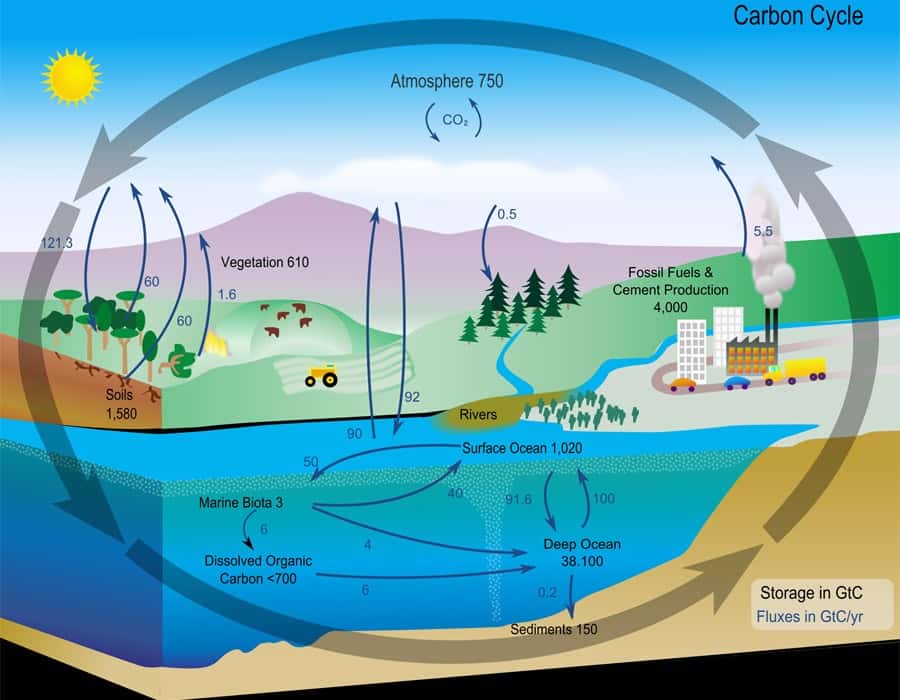  Une modélisation en diagramme du cycle du carbone. © Nasa, Domaine public, <em>Wikimedia Commons</em>