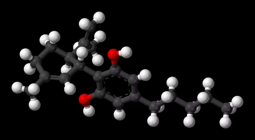 Modèle de la molécule de cannabidiol, d’après P. G. Jones, L. Falvello, O. Kennard, G. M. Sheldrick and R. Mechoulam (1977). © Benjah-bmm27, <em>Wikimedia Commons</em> 