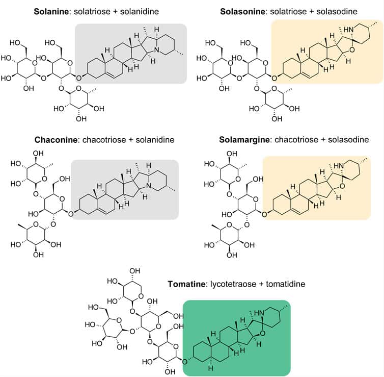 Structures moléculaires des glycoalcaloïdes des Solanacées. © Winkiel <em>et al. Front. Pharmacol. </em>2022