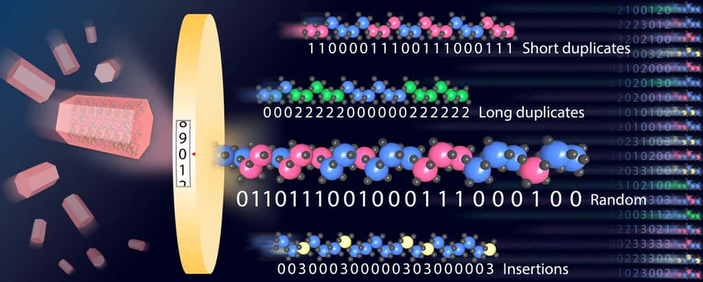 Les chercheurs sont parvenus à encoder des données directement au niveau moléculaire, chaque ion métallique représentant un bit. © UC Berkeley