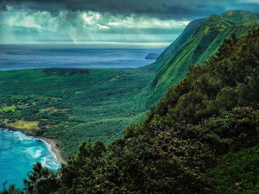 Des paradis sauvages comme Hawaï ont vu disparaître de nombreuses espèces d'oiseaux après l'arrivée des premiers humains. © pbziegler, Pixabay