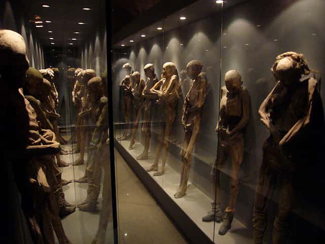 Les momies de Guanajuato au musée qui leur est dédié. © Cedarblu, Wikimedia, CC by-sa 2.0