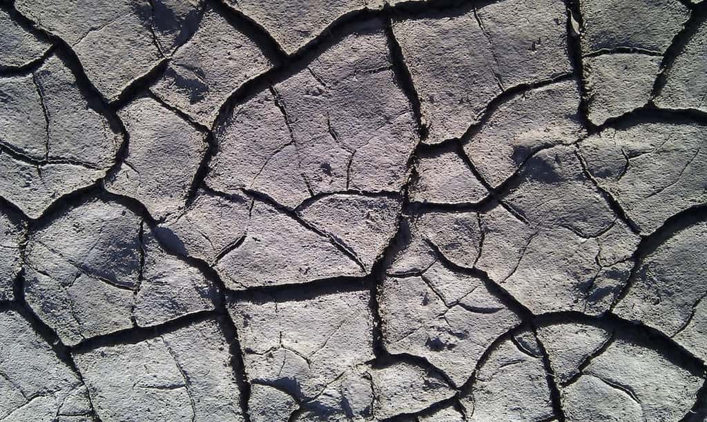 Des craquelures avec des motifs caractéristiques se forment aussi dans la boue qui sèche. © Ludovic Pauchard