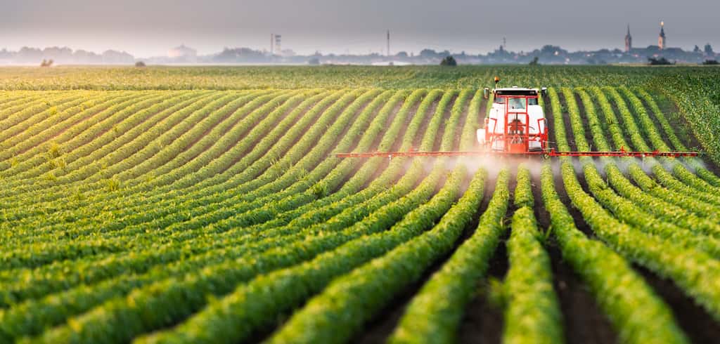 Le secteur de l'agriculture est à la traîne sur le chemin de la décarbonation. © Dusan Kostic, Adobe Stock