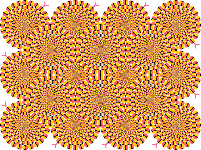 Cette illusion est une des plus célèbres semble en perpétuel mouvement. © PNG egg
