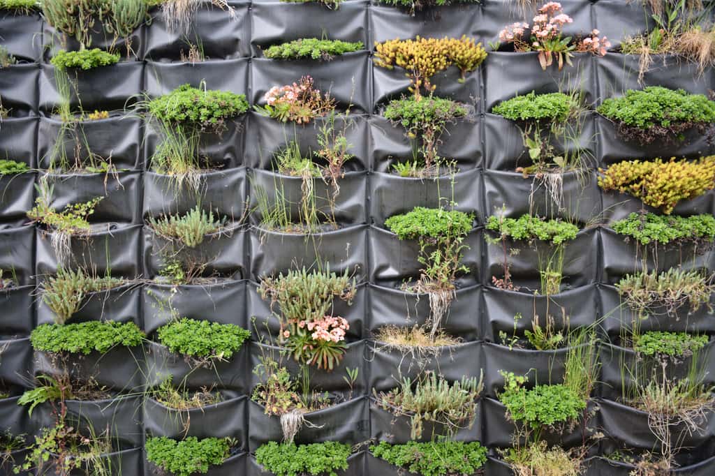 Certains murs végétaux sont pourvus de pochettes où les plantes doivent être insérées. © Λεωνιδας, Adobe Stock