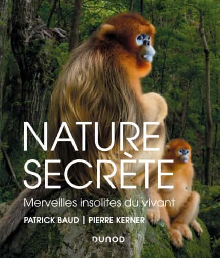 <em>Nature Secrète</em> de Patrick Baud et Pierre Kerner. © Édition Dunod