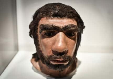 Un homme de Neandertal, pièce exposée en mars 2018 au musée de l'Homme de Paris. © Stephane de Sakutin, AFP