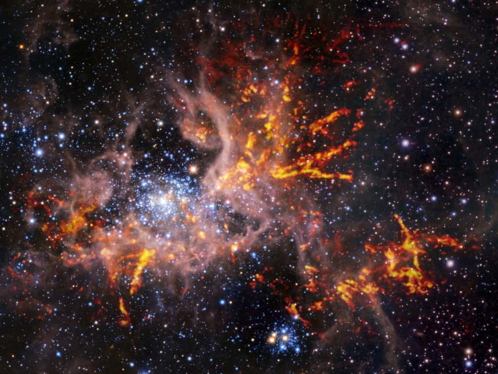 Cette image composite montre la région de formation d’étoiles 30 Doradus, également connue sous le nom de nébuleuse de la Tarentule. L’image de fond, prise dans l’infrarouge, est elle-même une image composite : elle a été capturée par les instruments HAWK-I sur le <em>Very Large Telescope</em> (VLT) et le <em>Visible and Infrared Survey Telescope for Astronomy</em> (Vista) de l’ESO. Elle montre des étoiles brillantes et des nuages légers et rosés de gaz chaud. Les bandes rouge-jaune brillantes qui ont été superposées à l’image proviennent d’observations radio effectuées par l’<em>Atacama Large Millimeter/submillimeter Array</em> (Alma), révélant des régions de gaz froid et dense qui ont le potentiel de s’effondrer et de former des étoiles. La structure unique en forme de toile des nuages de gaz de cette nébuleuse a conduit les astronomes à lui donner comme surnom le nom d’une araignée. © <em>ESO, Alma (ESO/NAOJ/NRAO)/Wong et al., ESO/M.-R. Cioni/VISTA Magellanic Cloud survey. Acknowledgment: Cambridge Astronomical Survey Unit</em>