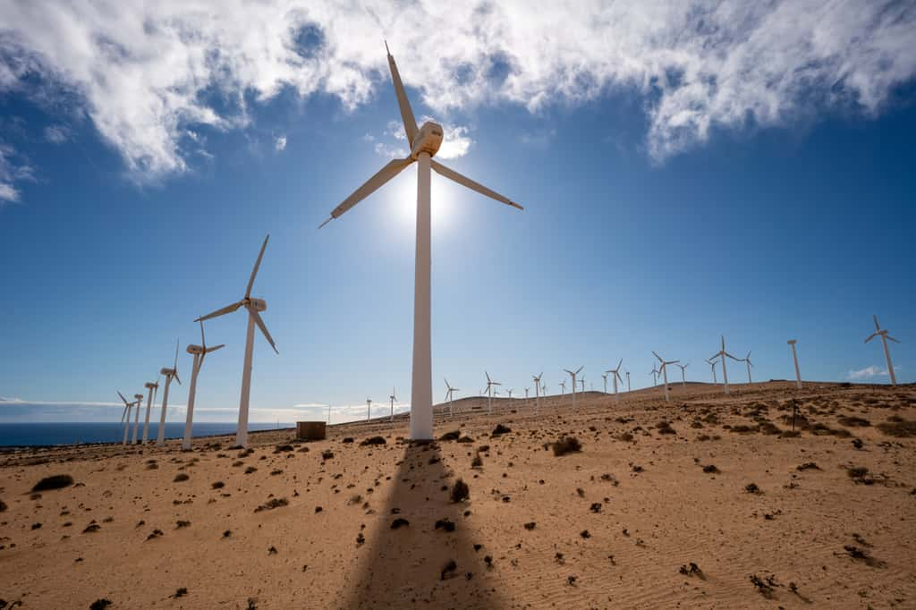 Dans son fonctionnement, Neom prévoit une utilisation des énergies renouvelables à hauteur de 100 % ! © luchschenF, Adobe Stock