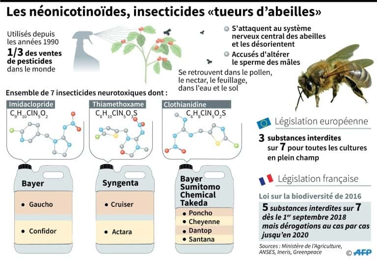 Les néonicotinoïdes, insecticides « tueurs d'abeilles ». © Elia Vaissière, AFP