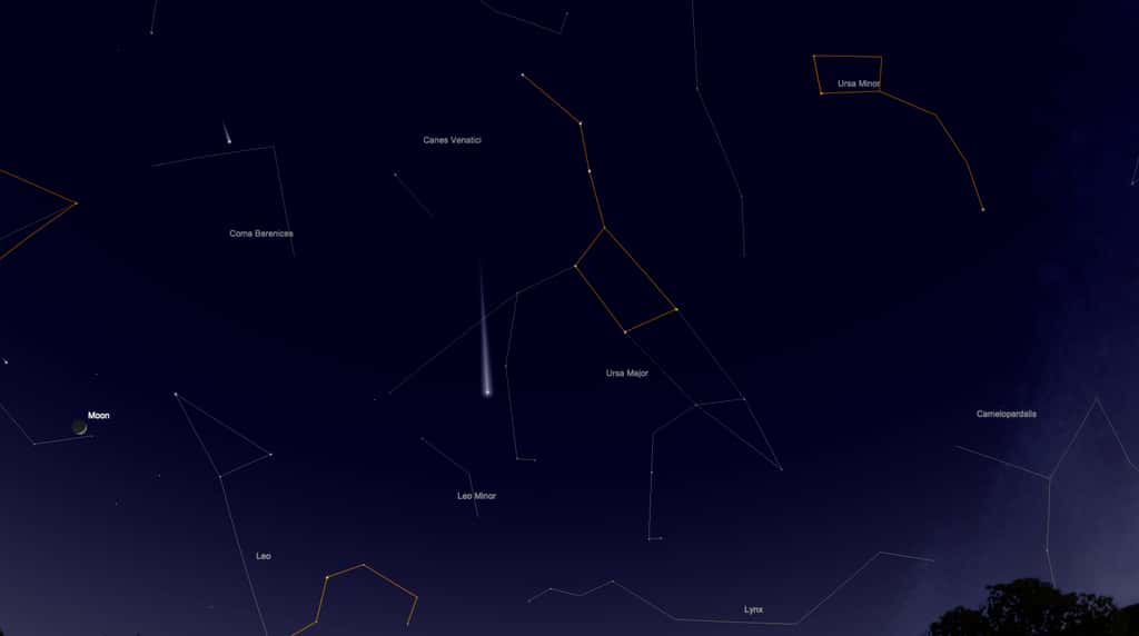 Position de la comète Neowise le soir du 24 juillet. Elle est visible entre les deux pattes arrière de la Grande Ourse. Ces sept étoiles les plus brillantes composent l'astérisme de la Grande Casserole (en orange), facile à repérer dans la nuit. © SkySafari