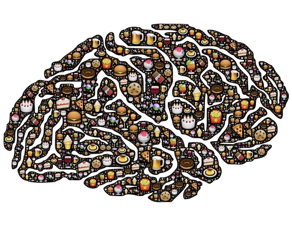 Au restaurant, la neurogastronomie se propose de vous faire vivre une expérience multisensorielle qui fasse du bien à votre cerveau. © johnhain, Pixabay
