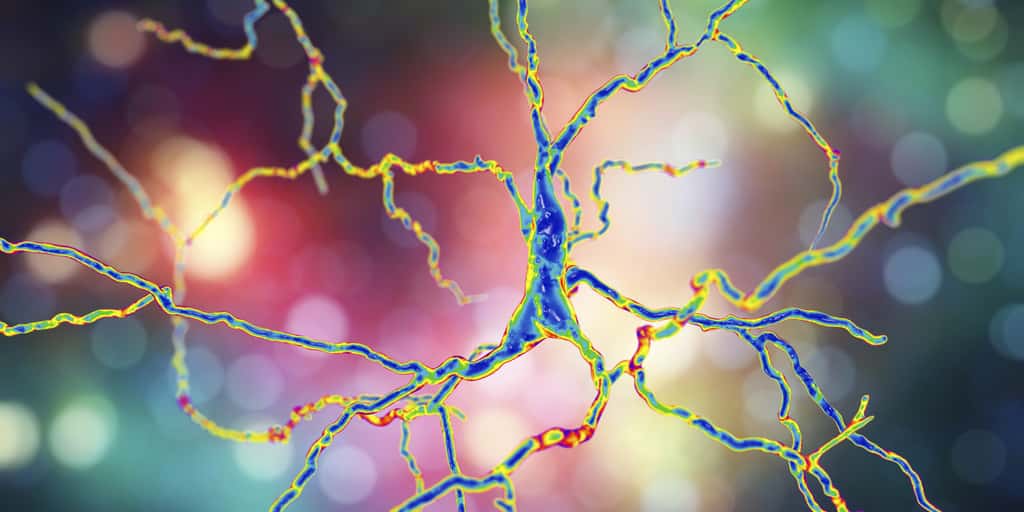 Représentation de neurones dopaminergiques. © Kateryna_Kon, Adobe Stock