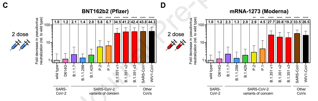 Les variations de la neutralisation des pseudo-particules virales portant les protéines S de chaque variant du SARS-CoV-2 après deux doses du vaccin de Pfizer et de Moderna. Les variants P.1, P.2 et B.1.351 sont les plus résistants. © Wilfredo F. Garcia-Beltran et al.,<em> Cell</em>