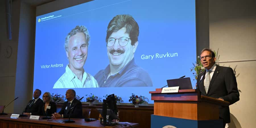 Le 07 octobre, Victor Ambros et Gary Ruvkun ont reçu le prix Nobel de médecine et physiologie pour leurs découvertes sur les microARN. © Jonathan NACKSTRAND / AFP 