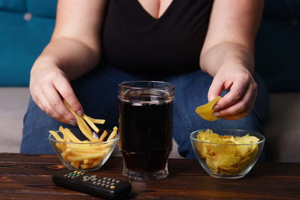 L'obésité peut être provoquée par une trop grande consommation d'aliments riches en graisses et en sucres, mais ce n'est pas l'unique facteur à l'origine de cette maladie. © Vadym, Adobe Stock