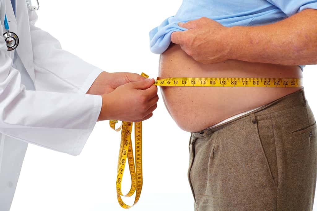 Des molécules qui activeraient G3PP pourraient aider à prévenir l’obésité. © kurhan, Shutterstock