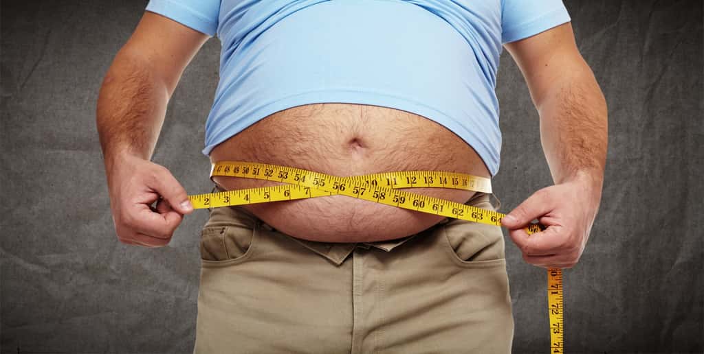 L'OMS estime que 1,9 milliard d'adultes sont en surpoids ou obèses dans le monde. Il existe donc un besoin urgent de nouvelles thérapies qui traitent efficacement l'obésité grâce à des mécanismes d'action sûrs. © Kurahn, Fotolia