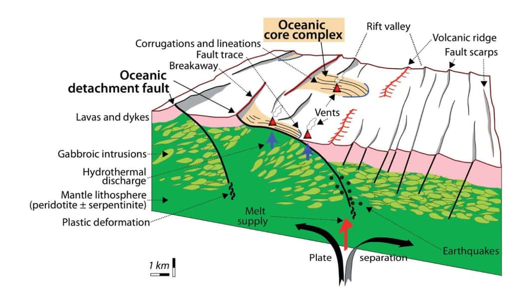 Schéma montrant la formation des core complexes océaniques, au niveau d’une dorsale lente, par le biais d’une faille de détachement. © Marco Maffione, article paru dans la revue <em>Scientific Reports</em>, Licence CC-by-NC-ND 3.0 