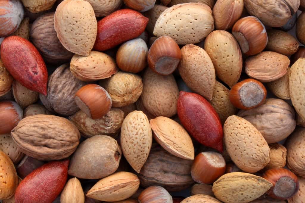 Les noix et graines sont riches en antioxydants. © Brad Pict, Fotolia