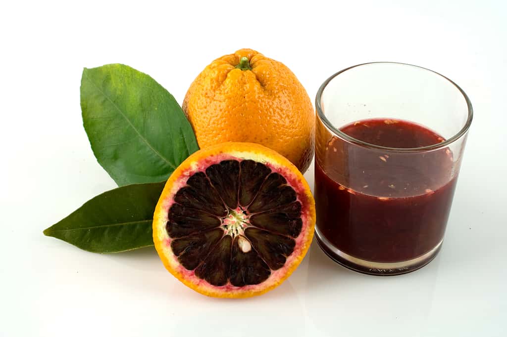 Les oranges sanguines 'Moro' sont connues pour la couleur sombre de leur pulpe. © Haller Tornello, Adobe Stock 
