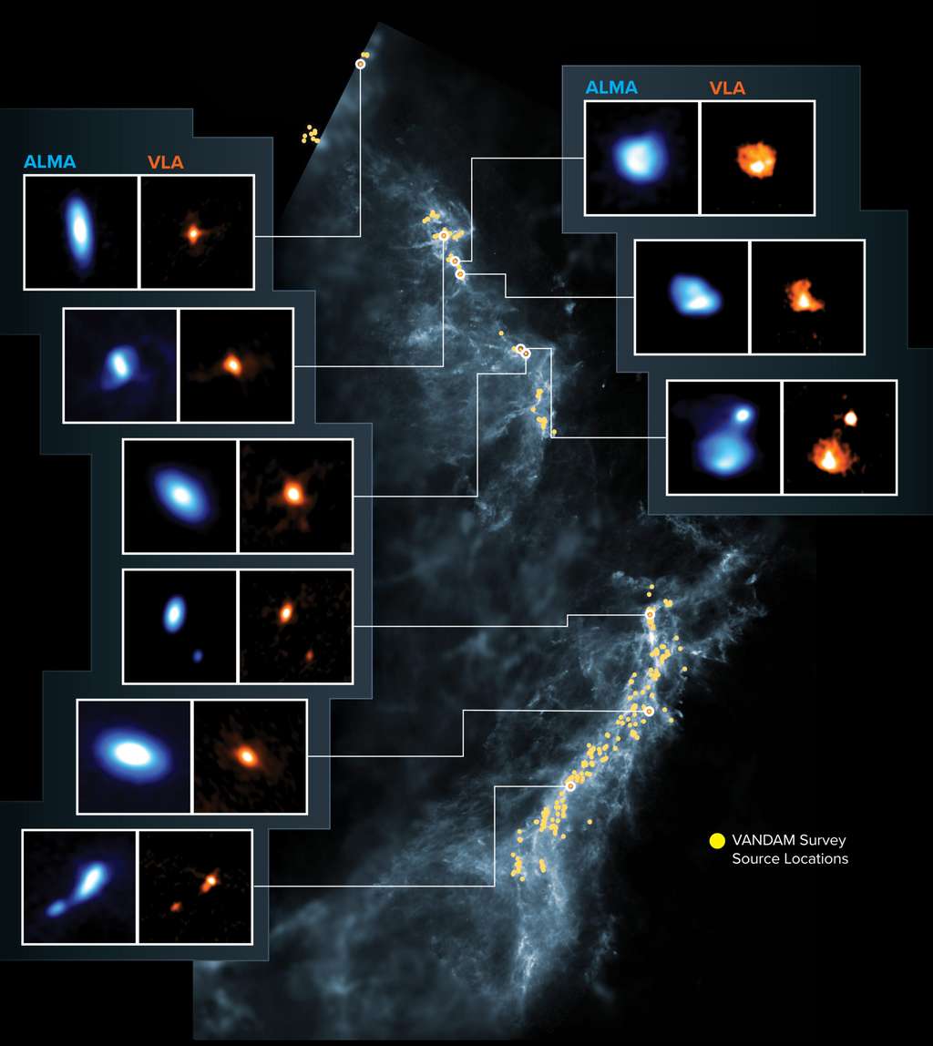 Cette image montre les nuages moléculaires d'Orion, la cible du levé Vandam. Les points jaunes sont les emplacements des proto-étoiles observées sur une image de fond bleu réalisée par les instruments dans l'espace de la mission Herschel. Les panneaux latéraux montrent neuf jeunes proto-étoiles imagées par Alma (bleu) et le VLA (orange). Alma (ESO/NAOJ/NRAO), J. Tobin ; NRAO/AUI/NSF, S. Dagnello ; Herschel/ESA 