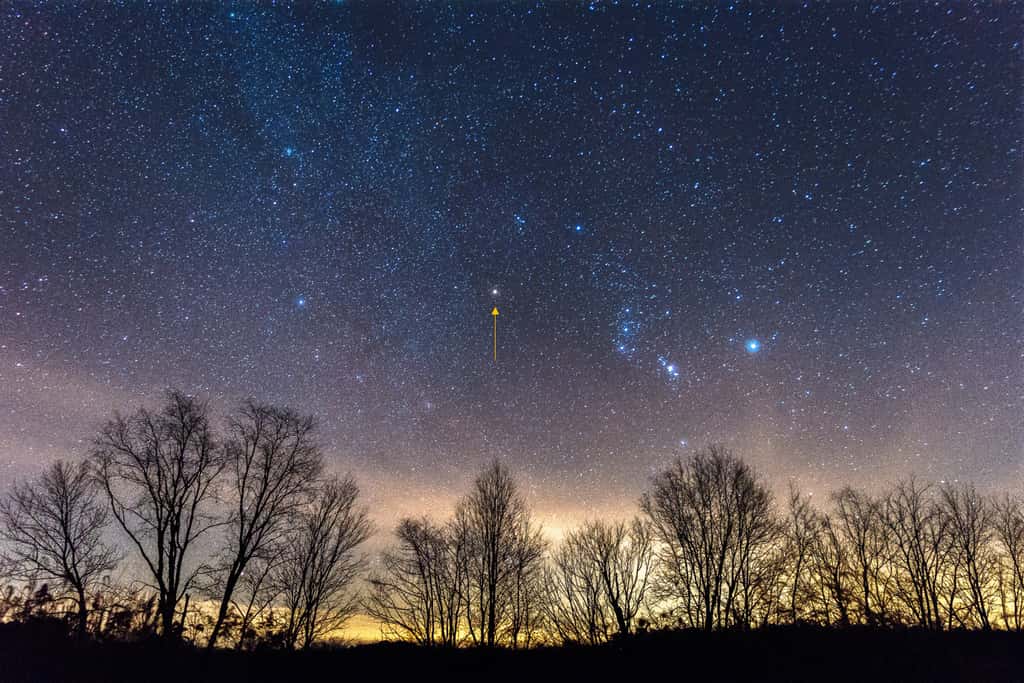 La flèche jaune pointe l'étoile Bételgeuse dans la constellation d'Orion. © Justin, Adobe Stock