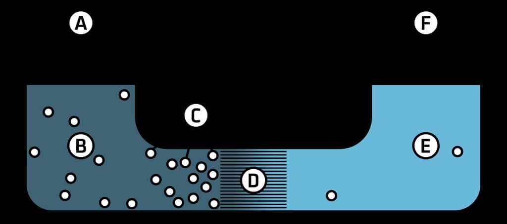 A) Pression appliquée ; B) Entrée d'eau de mer ; C) sel ; D) Membrane semi-perméable ; E) Sortie d'eau potable ; F) Distribution. © Colby Fisher, <em>Wikimedia Commons</em>, CC by-sa 3.0