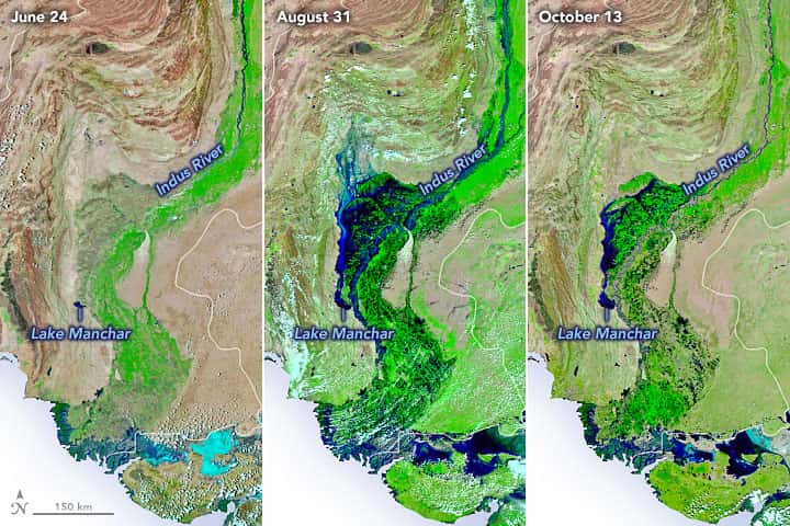 L'évolution du fleuve Indus et du lac Manchar, sur les images infrarouges entre le 24 juin et le 13 octobre 2022. © Nasa