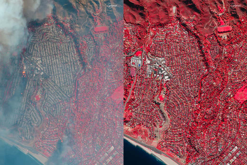 Cette image satellitaire de l'incendie Palisades nous montre l'ampleur des dégâts sur la végétation (en rouge), les habitations et les infrastructures. © Planet Labs PBC