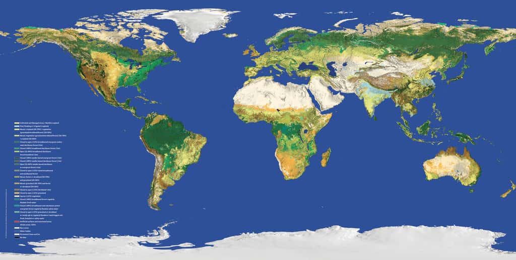 Carte mondiale du couvert végétal réalisée à partir des données de l'instrument Meris d'Envisat. Le programme Copernicus doit assurer la continuité dans le relevé des données scientifiques, notamment dans le domaine environnemental. © Esa