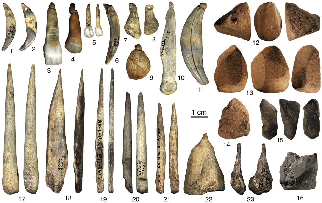 Ces objets, collectés dans la grotte du Renne (Arcy-sur-Cure, France), témoignent probablement de l'utilisation de parures et de pigments par les Néandertaliens du Châtelperronien. Dents perforées et gravées (1–6, 11), os (7–8, 10), fossile (9). Blocs à pigments rougeâtres (12–14) et noirs (15–16). Poinçons en os (17–23). © Caron <em>et al</em>. (2011)