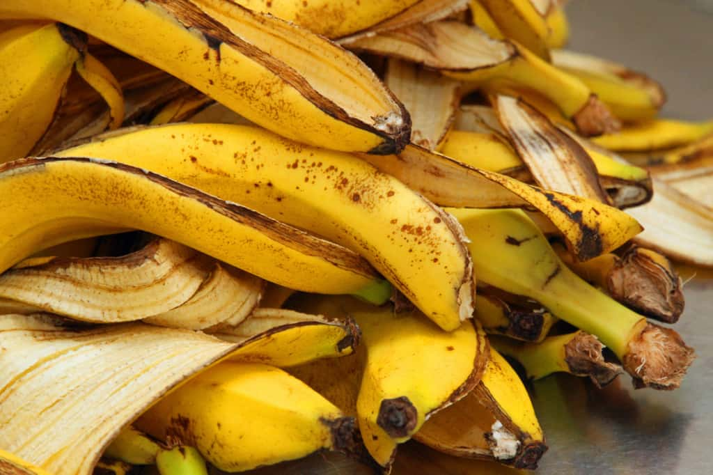   La peau de banane transformée en farine nutritive apporte en cuisine un équilibre parfait entre bienfaits pour la santé et qualités organoleptiques. Son utilisation s'inscrit aussi dans une démarche de réduction du gaspillage alimentaire© ChiccoDodiFC, iStock