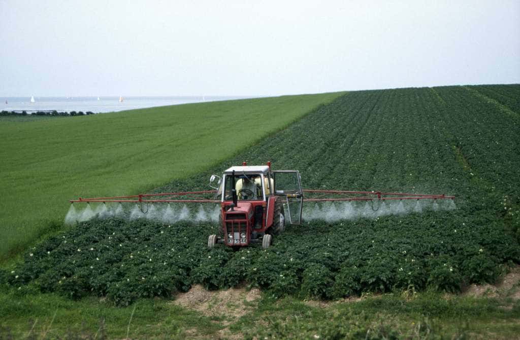 Dans certaines cultures, les pesticides sont épandus massivement. La technique n'a rien de nouveau et déjà par le passé, certains produits ont été utilisés à foison, ce qui explique que certains composés, interdits depuis des années, sont encore présents dans le sol. © tpmartins, Flickr, cc by nc sa 2.0