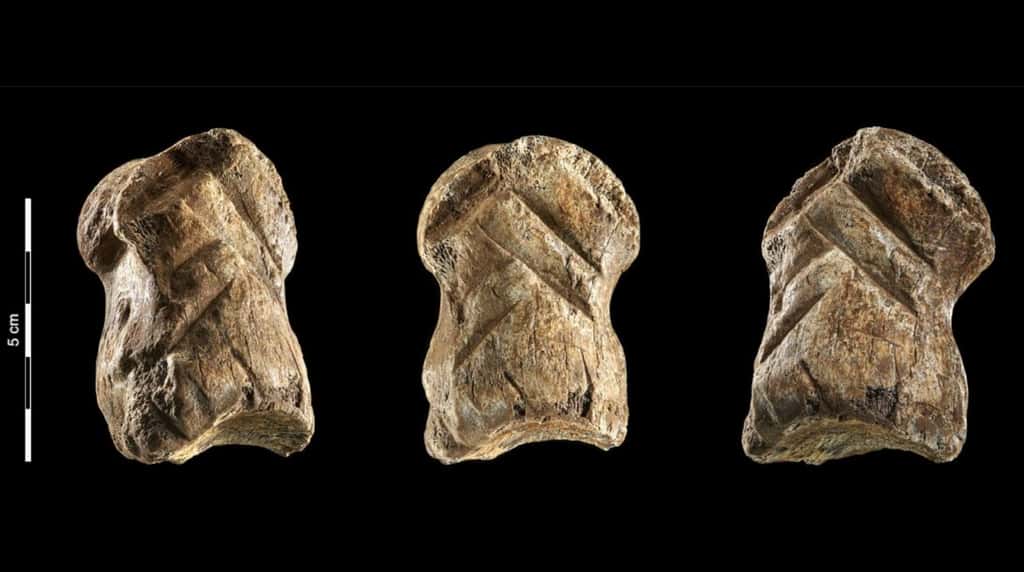 Une phalange de mégacéros gravée par Néandertal a été trouvée dans une ancienne grotte allemande. © Leder et al., 2021