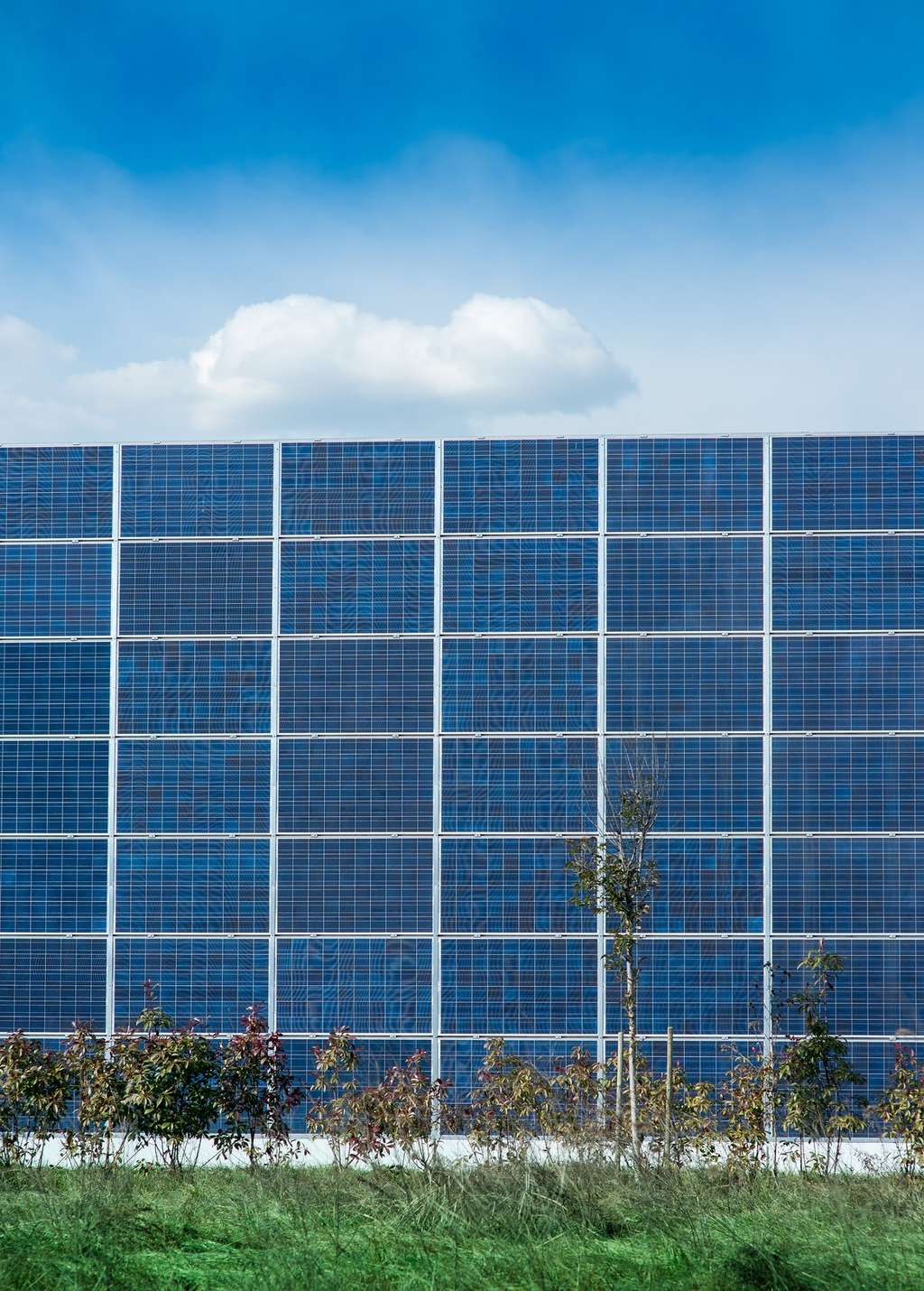 Des panneaux photovoltaïques en façade : une entreprise propose une solution esthétique et personnalisable. © Marco Mayer, Fotolia