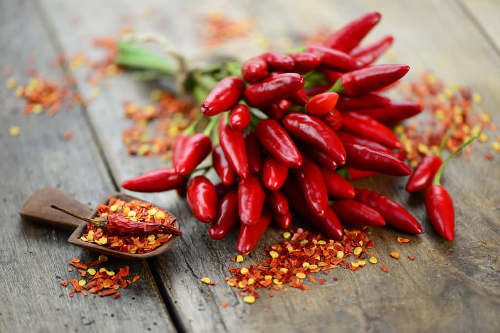 Qu'est-ce qui pique dans le piment ? © Photocrew, Adobe Stock