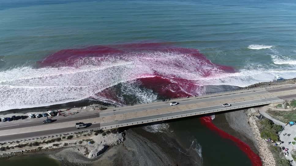 Les traînées d'eau rose qui ont été aperçues à San Diego ressemblent à de la pollution, mais il s'agit d'une expérience contrôlée. © Scripps Institution of Oceanography at UC San Diego