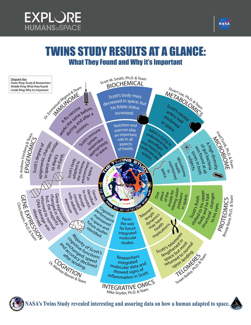 En anglais, graphique résumant ce que les chercheurs ont appris et découverts dans le cadre de <em>The Twins Study</em>. © Nasa