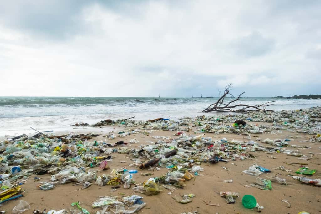 Ici, une plage à Bali, en Indonésie. Le pays est l'un de ceux qui rejette le plus de déchets plastique, mais des courants en amènent aussi sur les plages. © Victor Koldunov, Adobe Stock