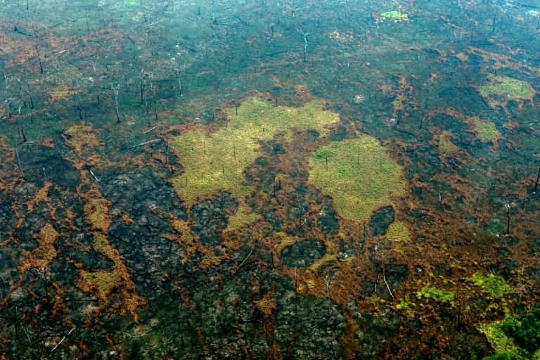 Vue aérienne de zones brûlées de la forêt amazonienne, le 24 août 2019, près de Boca do Acre, au Brésil. © Lula Sampaio, AFP, Archives