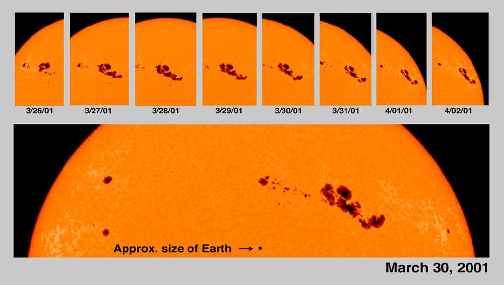 Le 30 mars 2001, le Soleil arborait à sa surface la plus grande tache sombre jamais observée. À cette période, notre étoile était proche du maximum du cycle d'activité 23. © ESA, Nasa, Soho
